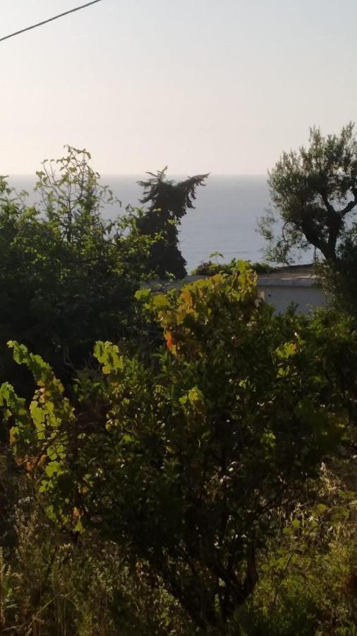 Mullaj Guest House Vlorë Eksteriør bilde